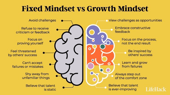 출처: com/blog/growth-mindset-vs-fixed-mindset-what-do-they-really-mean/